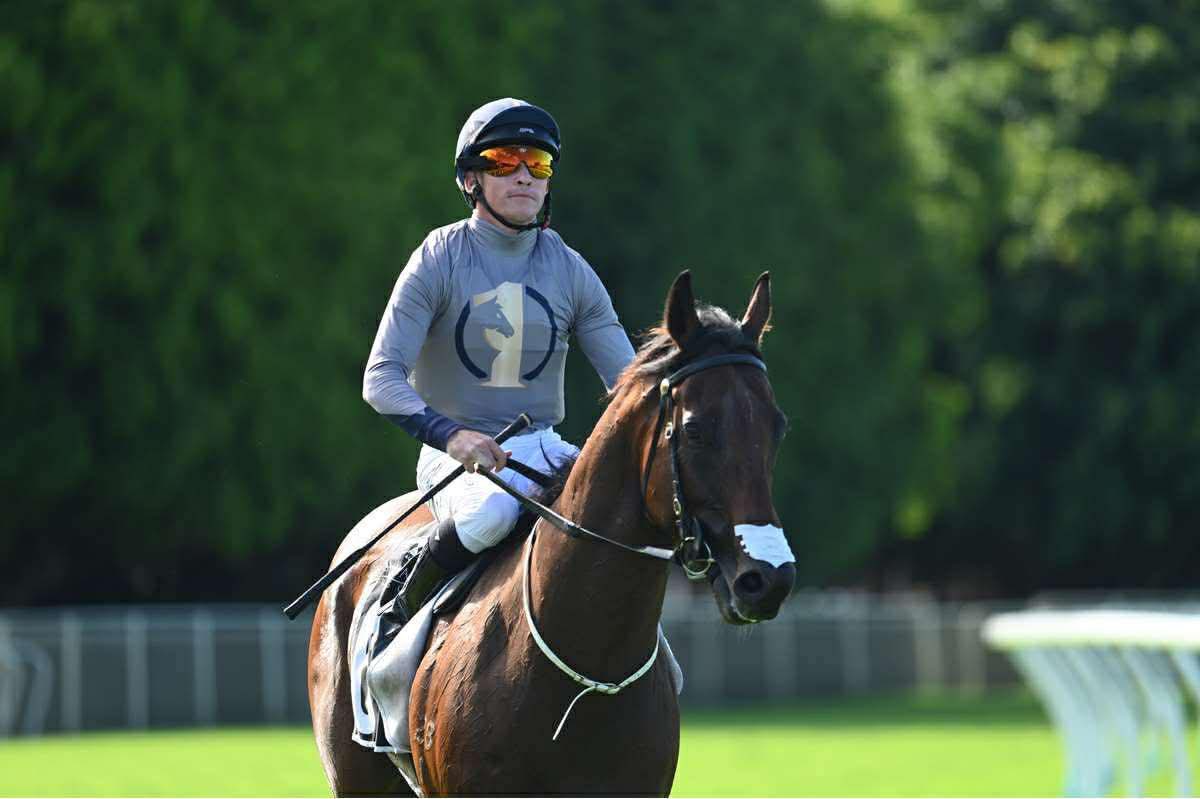 OneSyndications's tweet photo. A metro 🥇 on the board for PROVANCE

A great thrill for our owners, he was tough that last 200m 💪🏼

Get involved with the team 👇🏼

📱 https://t.co/u4E7JiCIXB https://t.co/SHvOOzZfPK