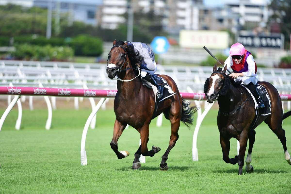 OneSyndications's tweet photo. A metro 🥇 on the board for PROVANCE

A great thrill for our owners, he was tough that last 200m 💪🏼

Get involved with the team 👇🏼

📱 https://t.co/u4E7JiCIXB https://t.co/SHvOOzZfPK