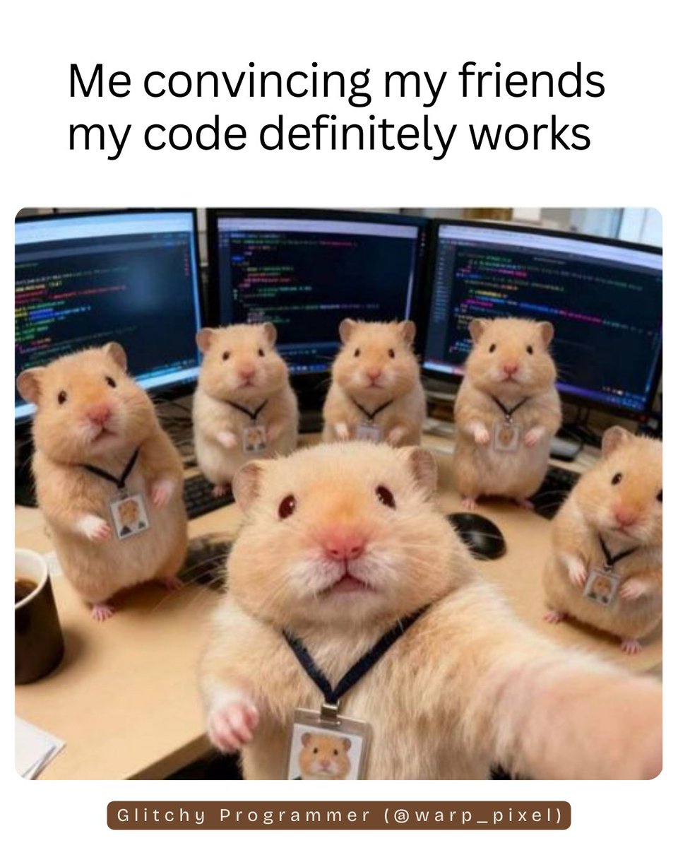 Glitchy Programmer tweet media