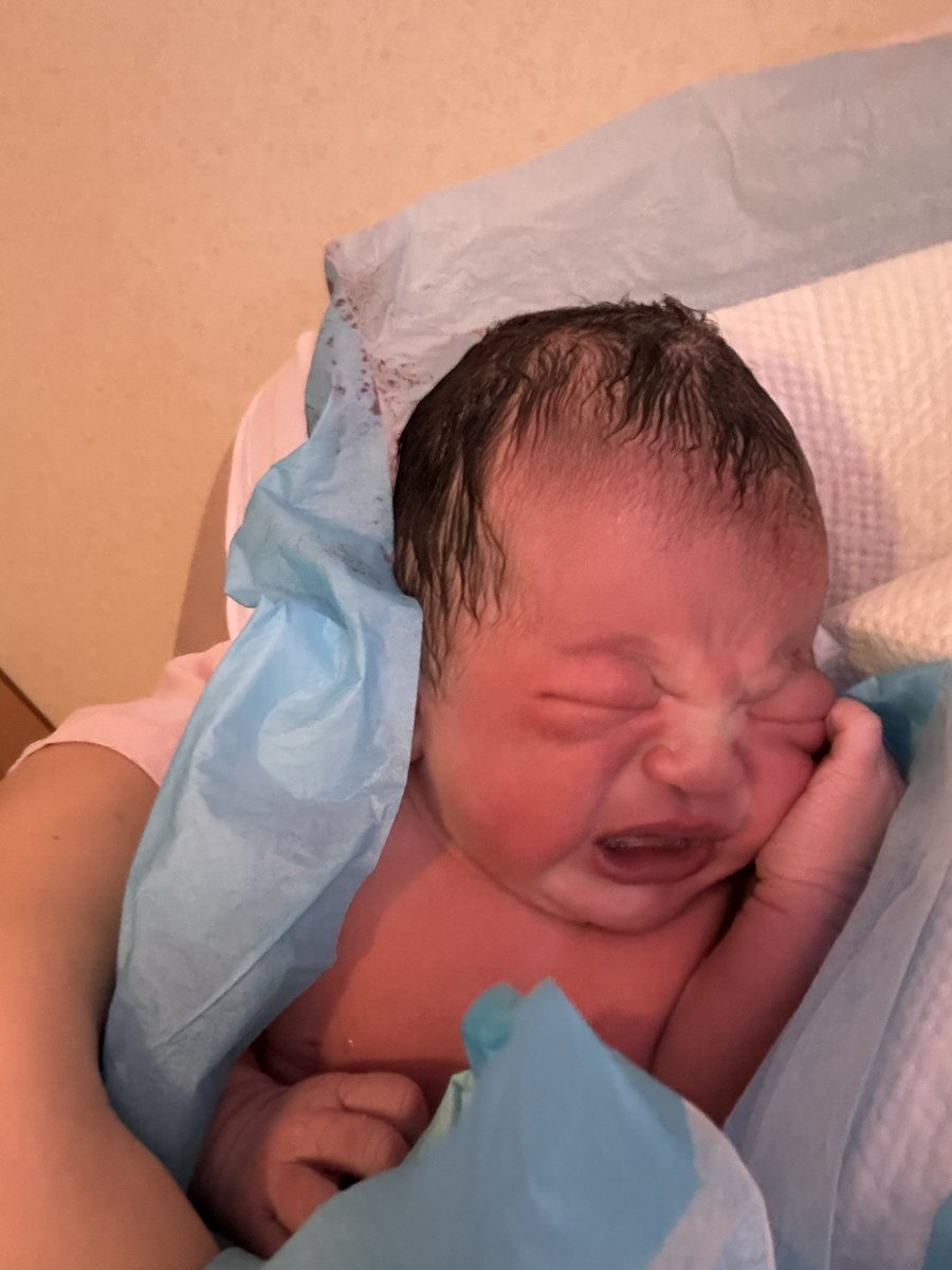 もんちゃん tweet media