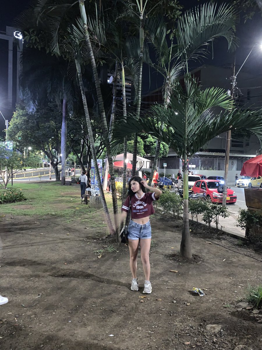 Fernanda tweet media