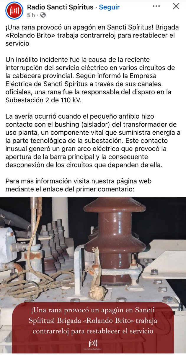Nuevo enemigo: una rana