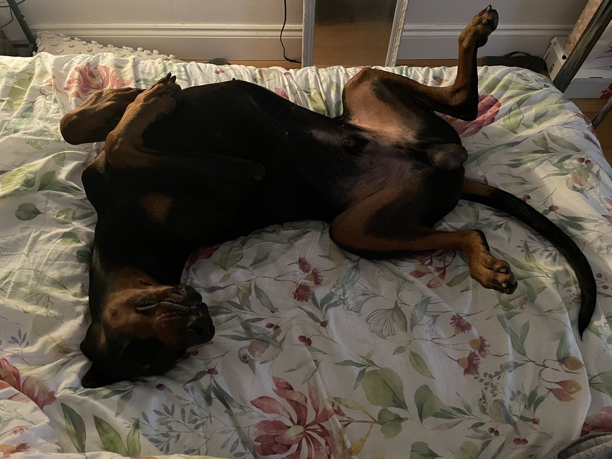 sheilaMol tweet media