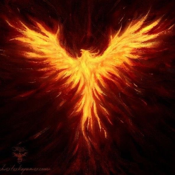 MUTANT MESSIAHโค๏ธโ๐ฅ tweet media