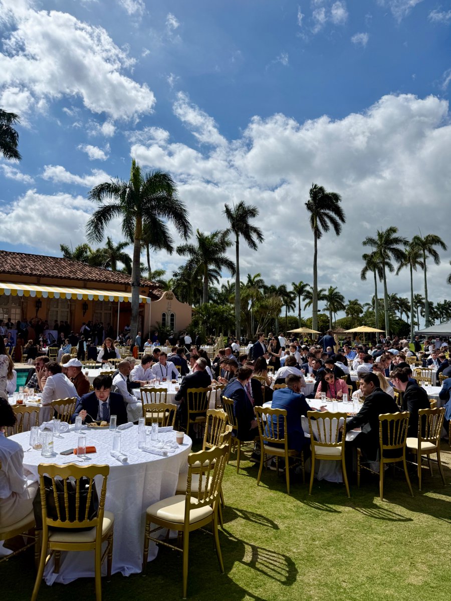 kaledora tweet media