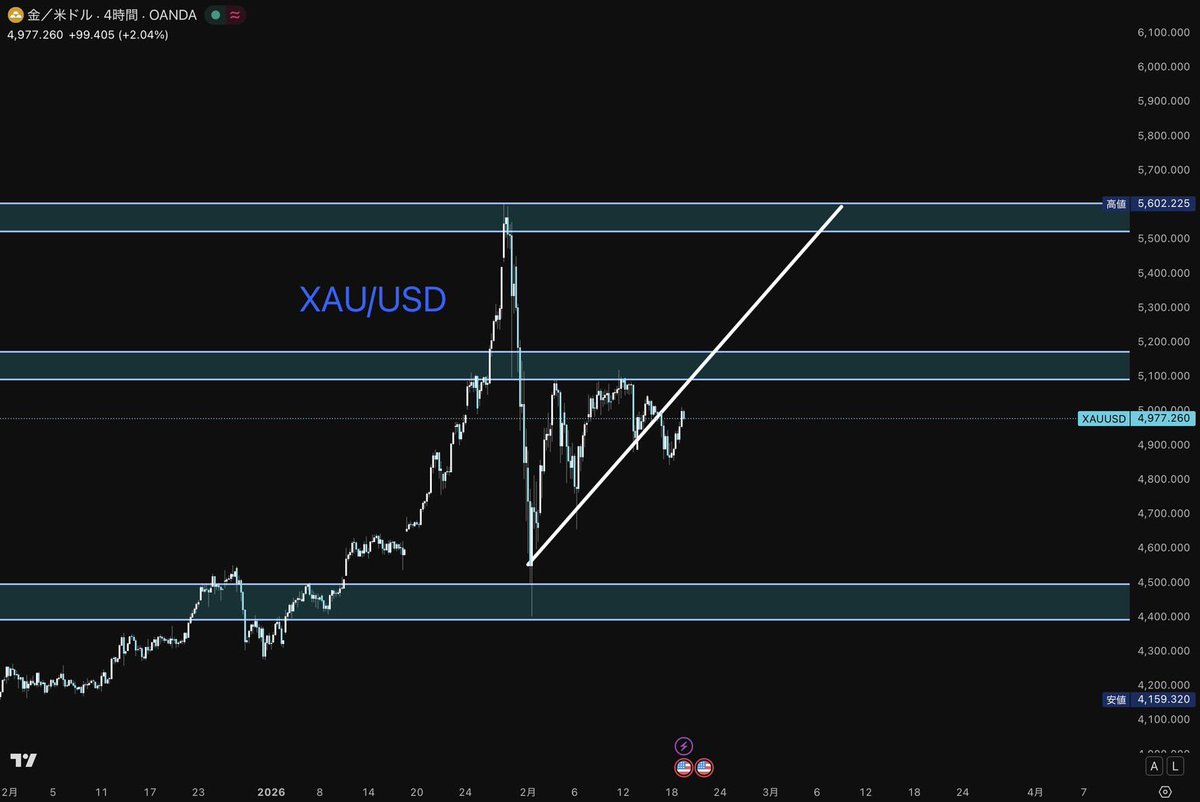 凛Rinn｜投資家｜GOLD専門 tweet media