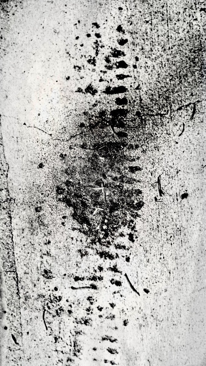 jimmy peggie tweet media