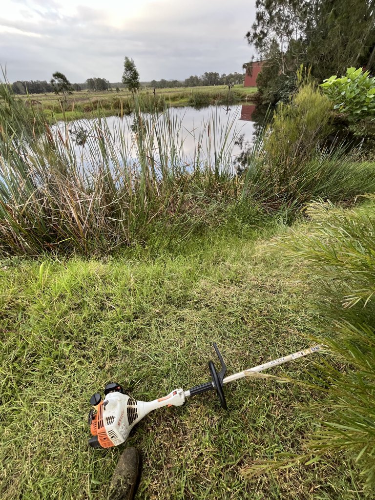 Farm life today 🚜👨‍🌾

Gotta make the hay while the sunshine’s