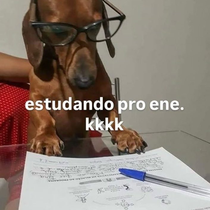 ltstudie tweet picture