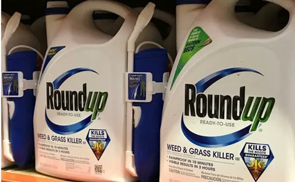 eldiario_net's tweet image. Bayer acuerda pago millonario por demandas de cáncer relacionadas con herbicida (18:15)
Lea la nota aquí: eldiario.net/portal/2026/02…
#ElDiarioBo #nternacional #Roundup #Herbicida #juicio #BayernMunich #Monsanto #Pesticidas #UltimoMomento