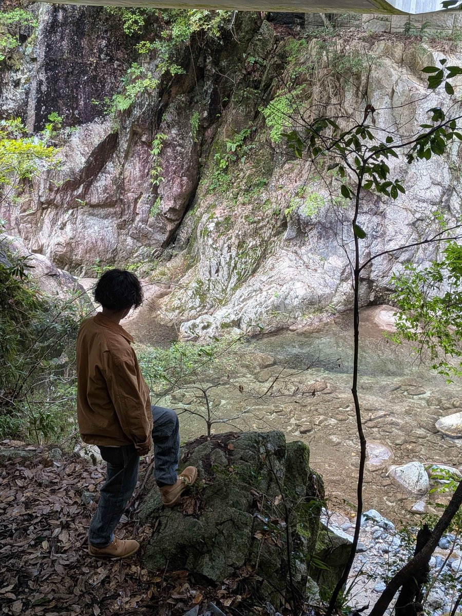 あるん (@rogumg) on Twitter photo 