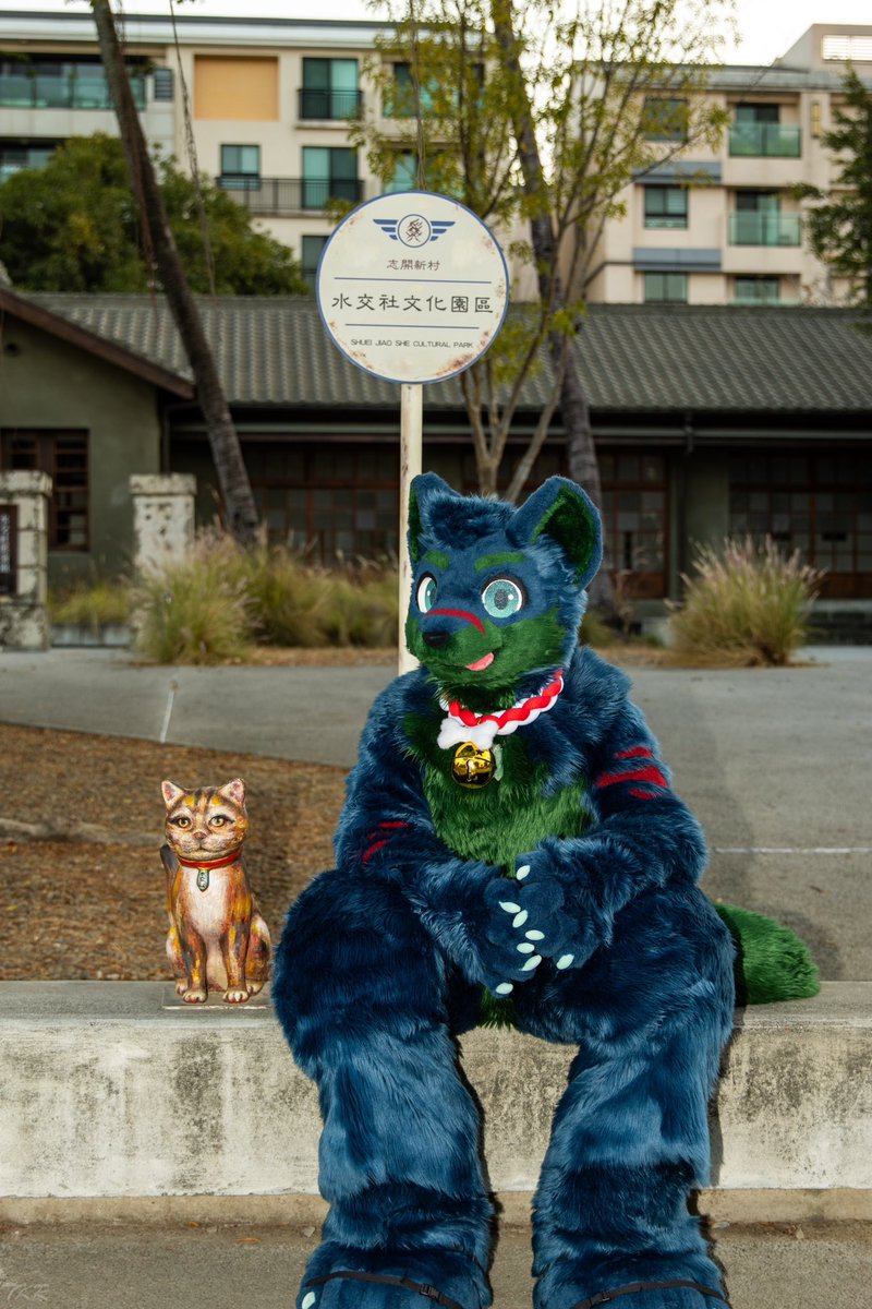 CT the Wolf➡️UTFG tweet media