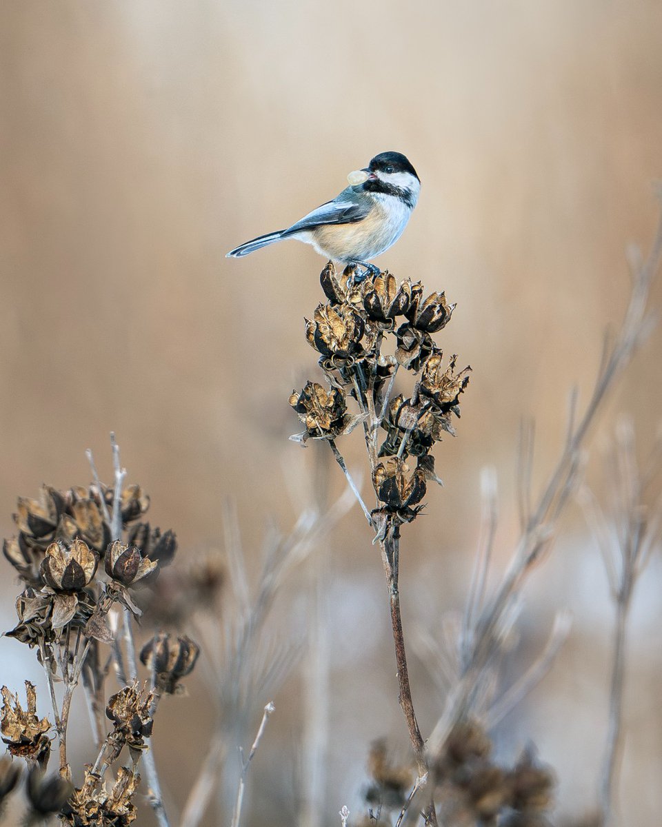 ShakerLakes tweet media