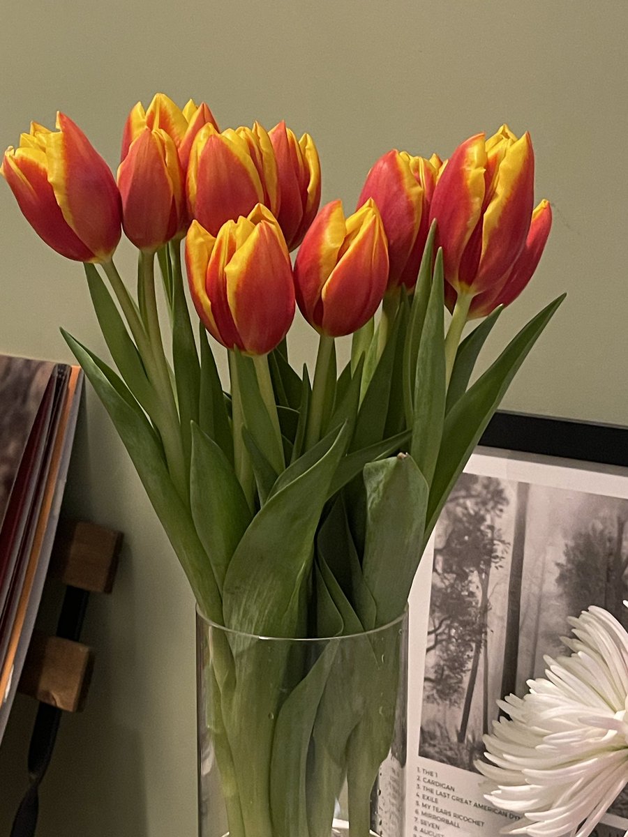mayampineda's tweet photo. Apenas es febrero y va así… bendito sea Dios porque mi hombre me da más flores que problemas 🤍🤍🤍 https://t.co/fcKz5jBD4Q