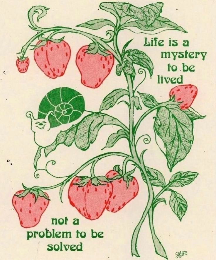 Blaize 🌙 tweet media