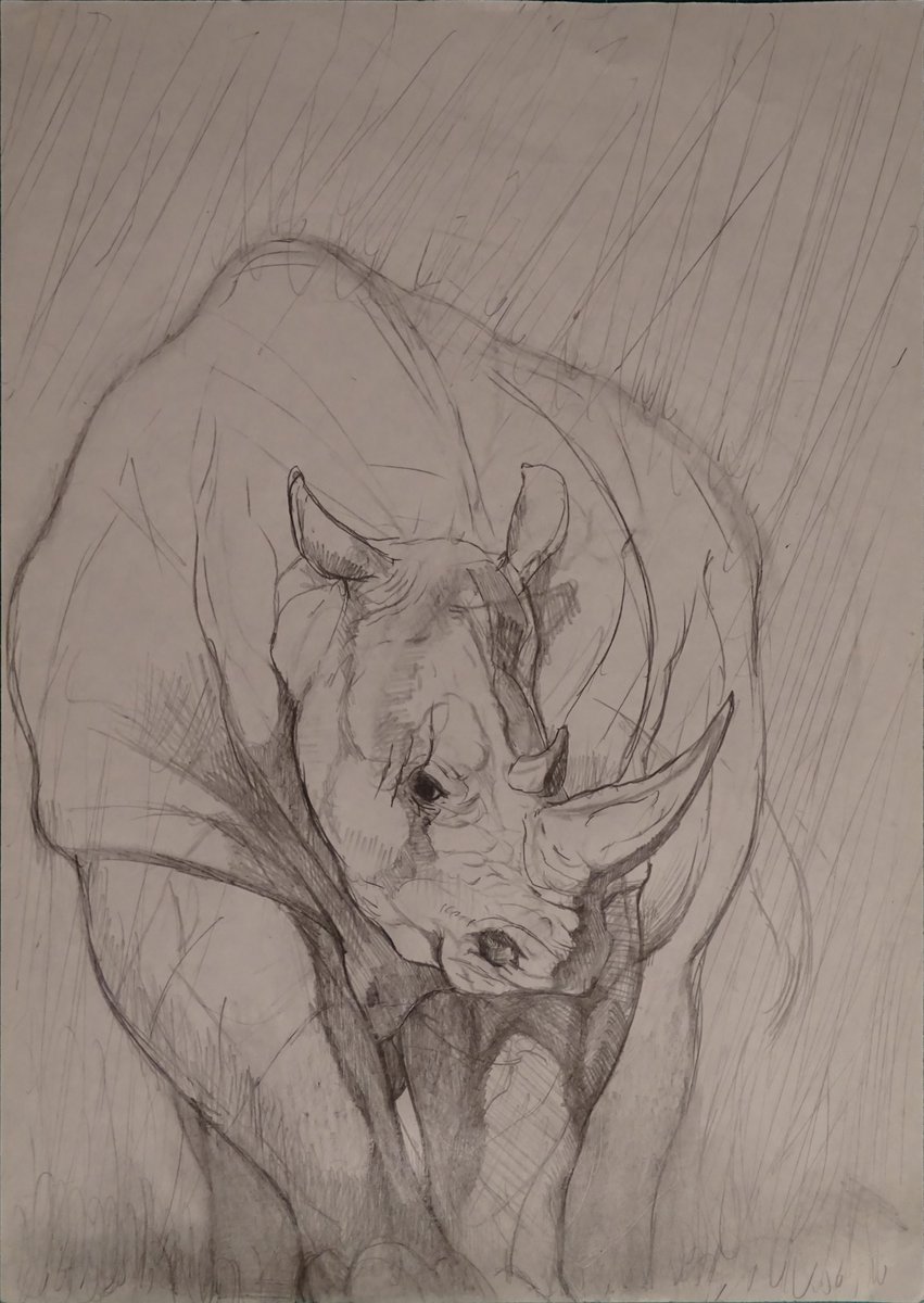 BirdRandomART🦤 tweet media