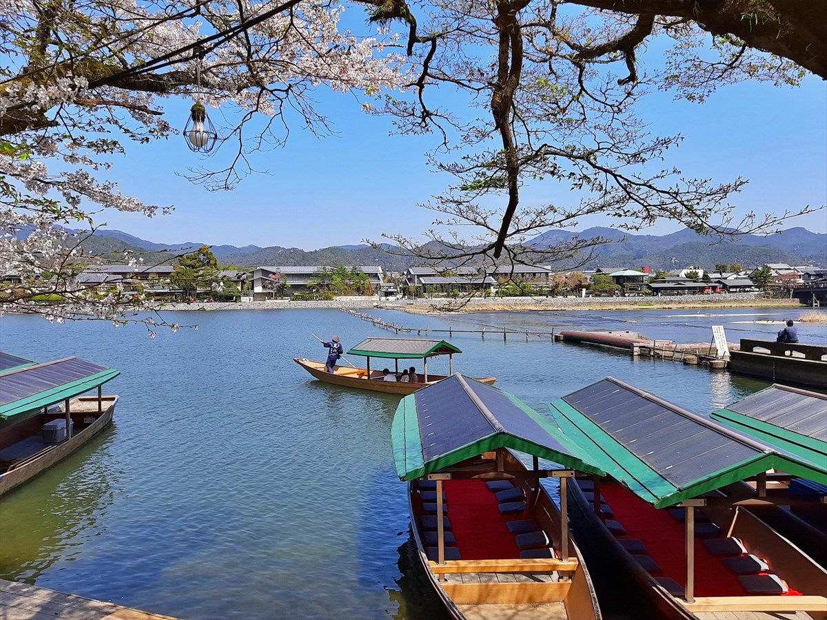 旅先での写真 tweet media