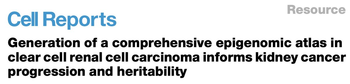 Sylvan Baca MD PhD (Hiring!) tweet media