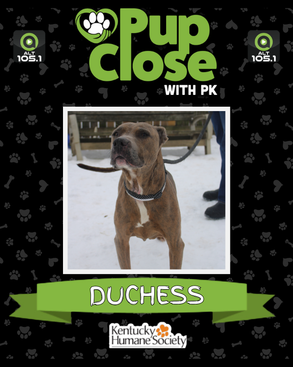 ALT 105.1 📻 tweet media