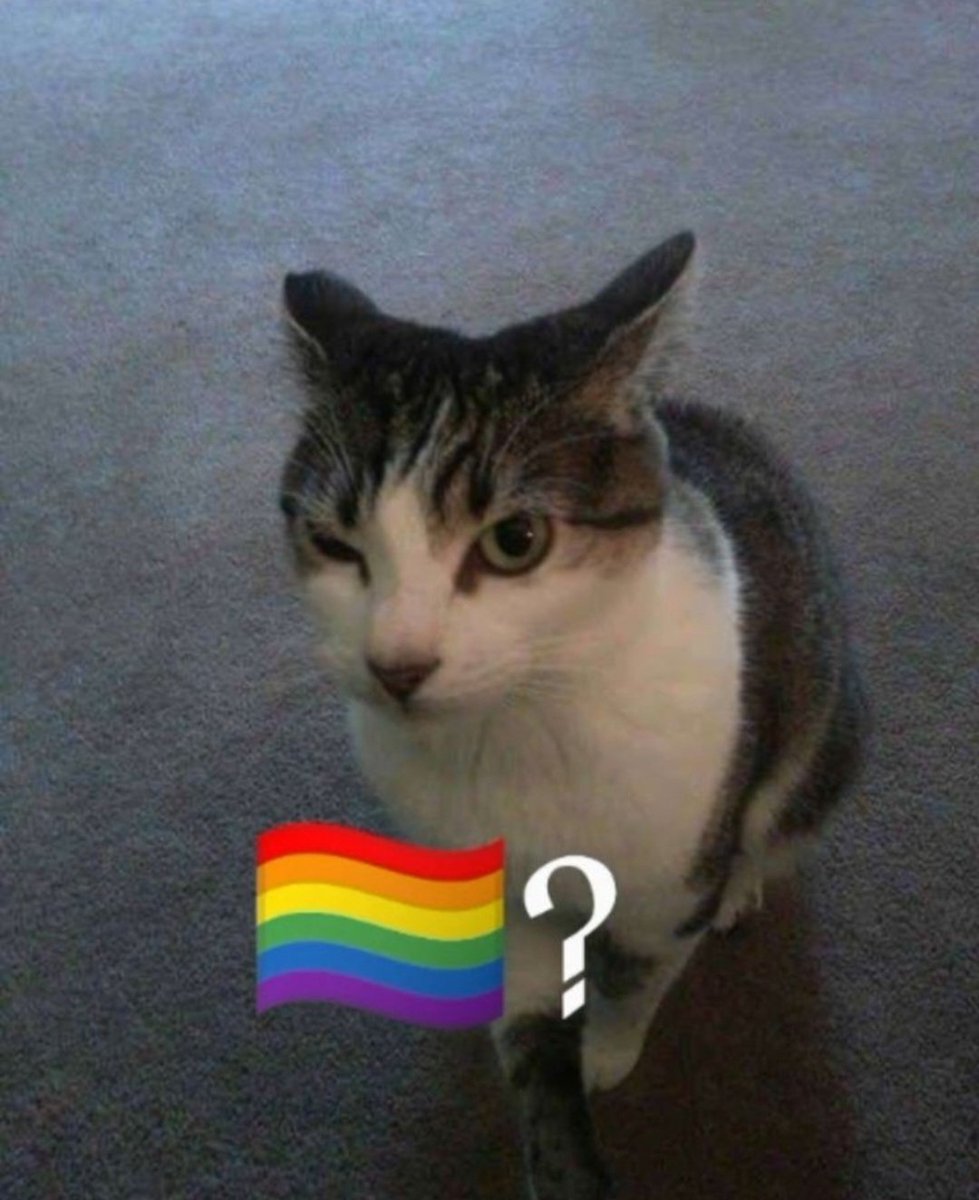 Ramiro Ompre tweet media