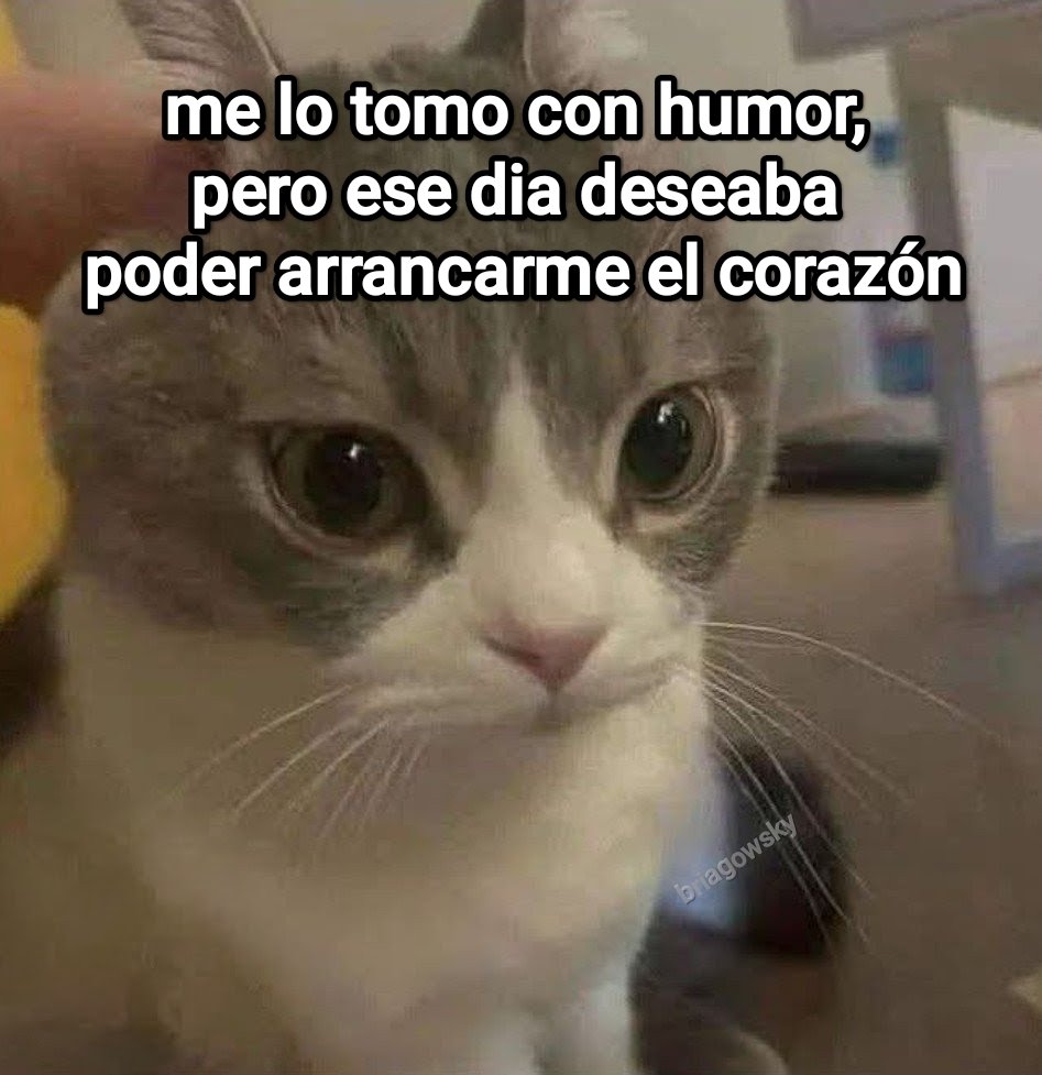 This Charming Cap (@briagowsky) on Twitter photo 