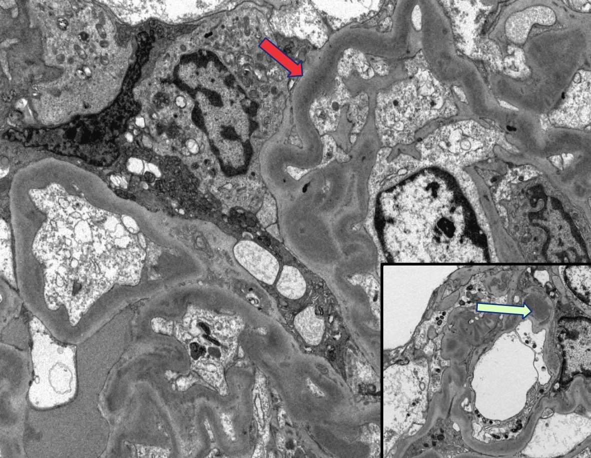 Priya Alexander, MD tweet media