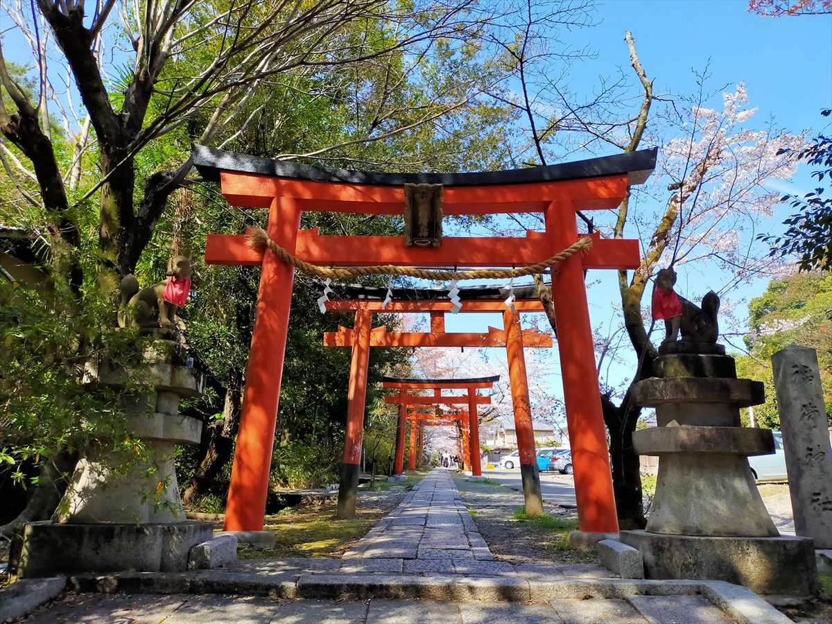 旅先での写真 tweet media