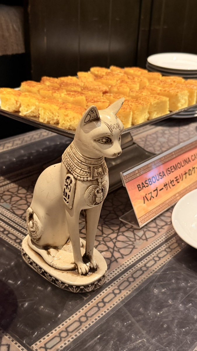 Grand_Pyramid's tweet image. 🇪🇬✨ エジプトランチビュッフェ ✨🇪🇬  

20種類以上の本格エジプト料理を  
¥2,273（税別）でお楽しみいただけます。  

まるでエジプトで味わうような本場の味。  
エジプト人シェフが伝統レシピと本格スパイスで丁寧に仕上げています 

🥘 事前予約でタジン1品を無料サービス。  
🌺