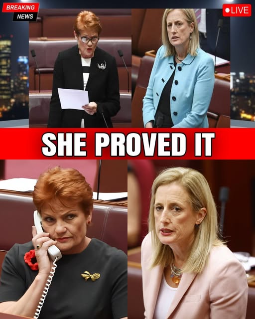 LABOR GOES WILD AS PAULINE HANSON EXPOSES ALBANESE'S BETRAYAL OF AUSTRALIAN LAND – $71M FUNNELLED TO CLAIMANTS! 📷
Pauline Hanson just dropped a Senate bombshell – exposing Anthony Albanese's Labor government for pouring $71 million into native title claimants over five years