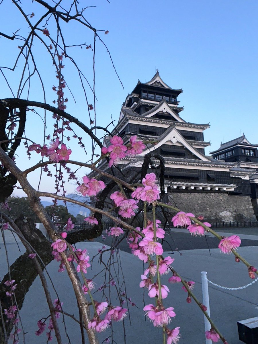 おはようございます。

春を迎える準備進んでおりまーす！
来月はお城まつりや夜間公開も待ってまーす！