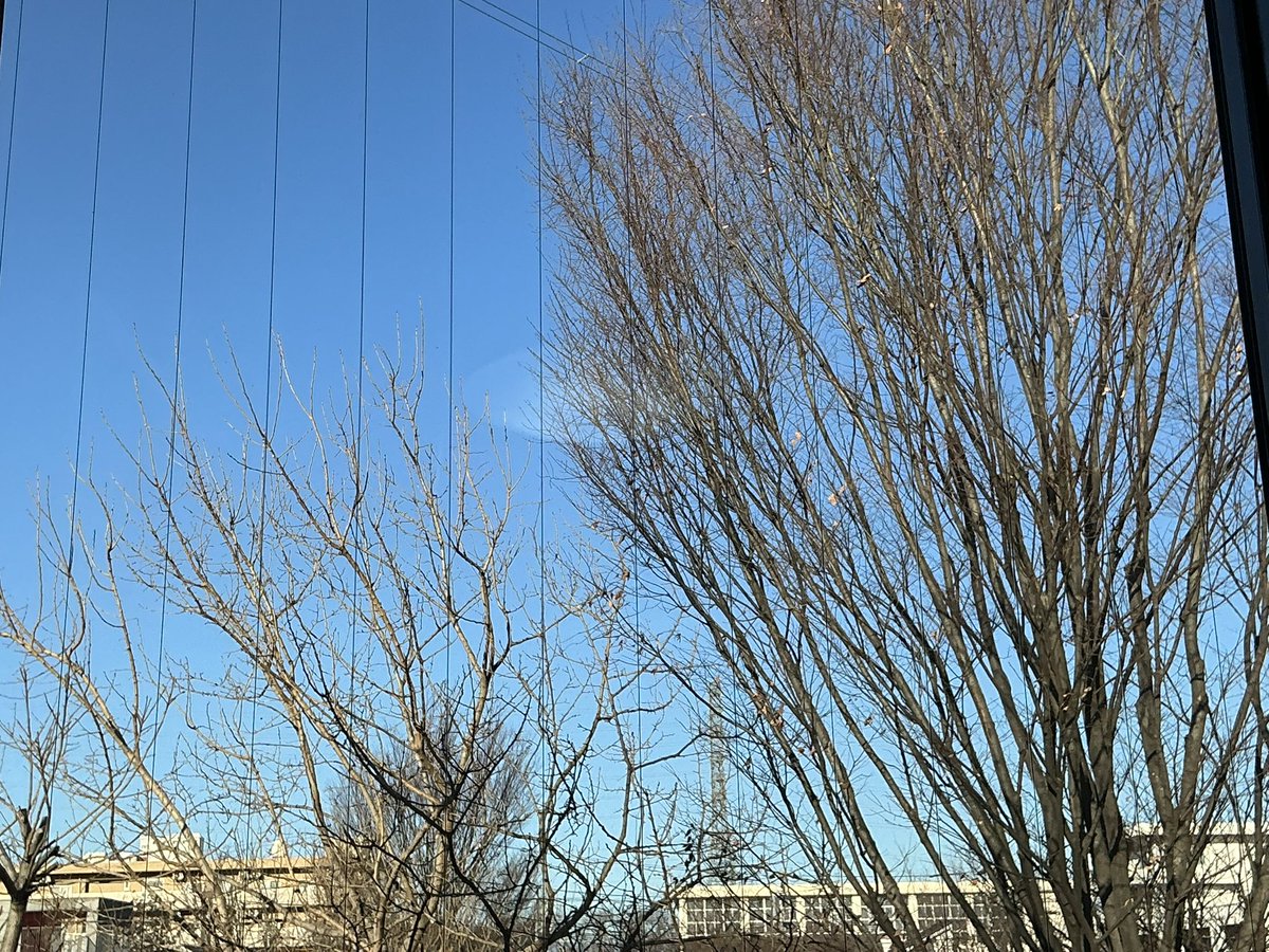 風が冷たいですが、朝からよーく晴れて☀️いる曙光園地方😊今日は散歩の後に訪問歯科、日中活動が行われます😃散歩で敷地内駐車場や近隣を歩行や車椅子走行したり、外気浴を行いますよ😊…からの木曜日の朝☀️おはです💕
花粉も飛び始めてますね〜症状のある皆様、ご自愛くださいね〜😊
#相互フォロー 🙇