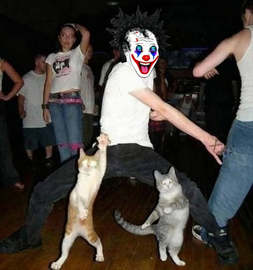 Dolphin🐬 tweet media