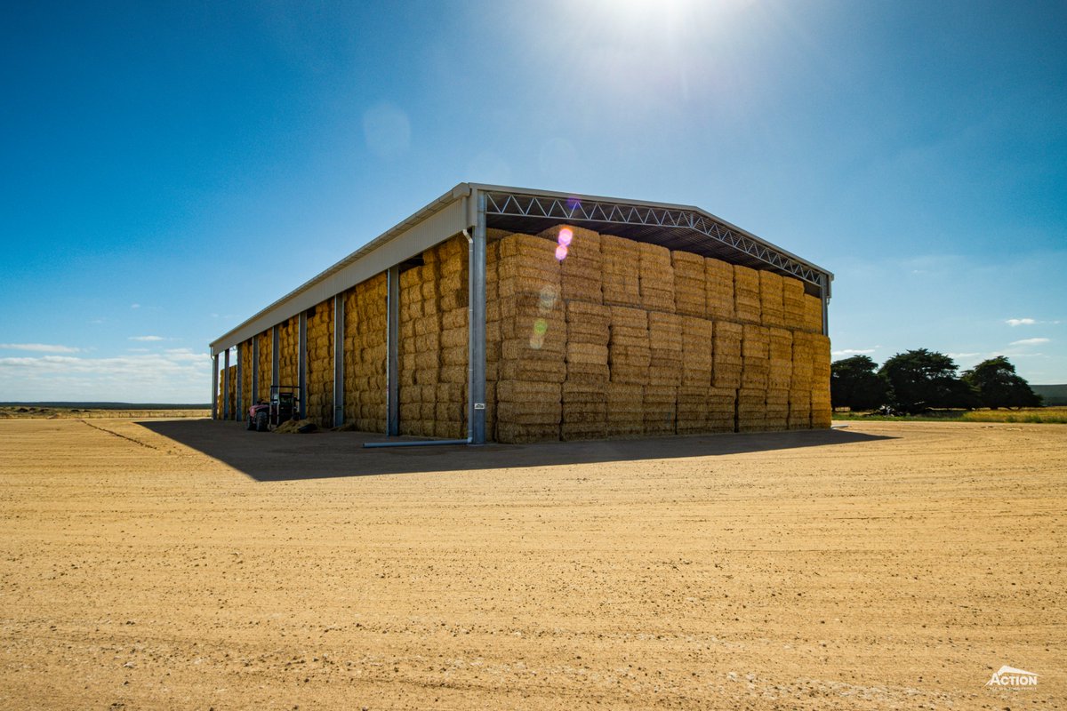 Action Steel tweet media