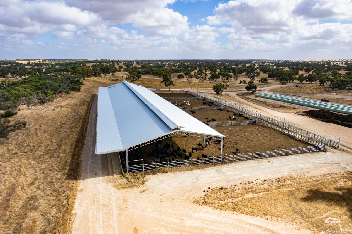 Action Steel tweet media