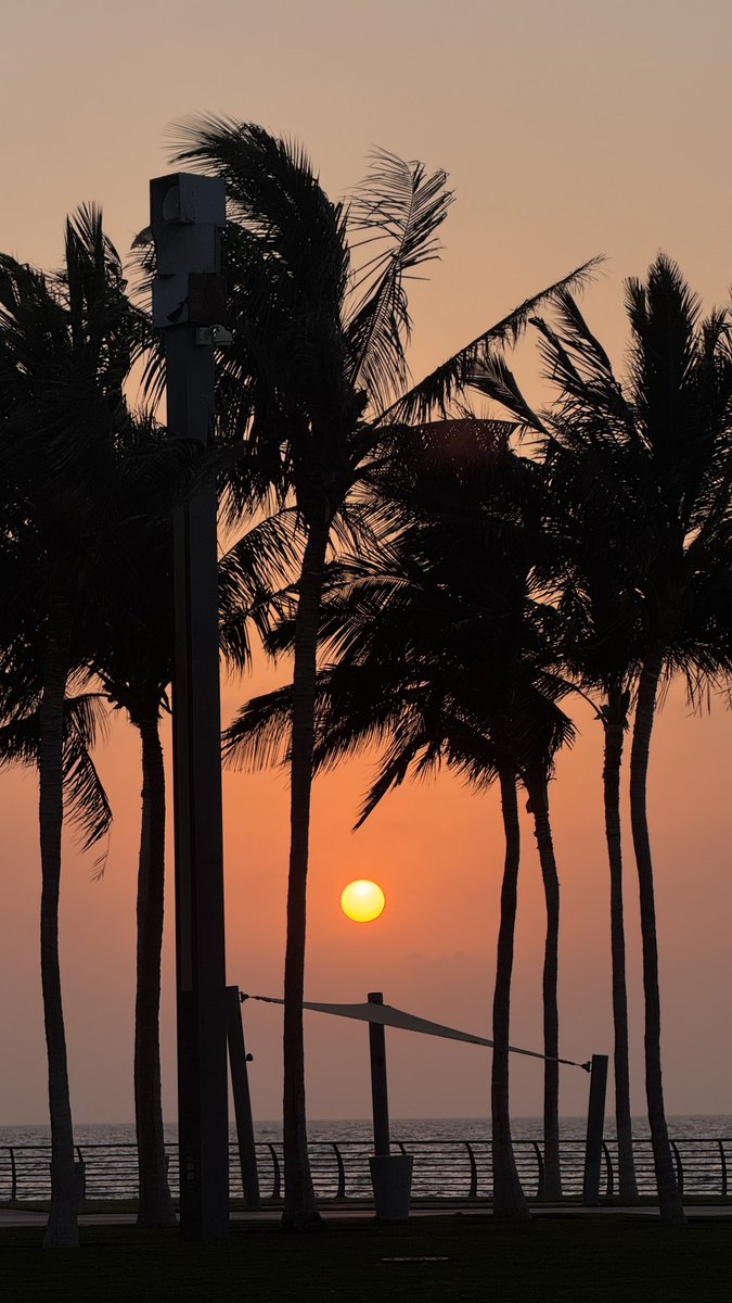 دِفء tweet media