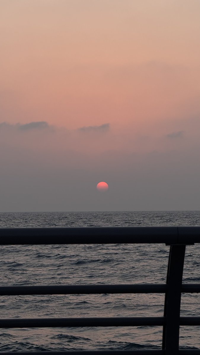 دِفء tweet media