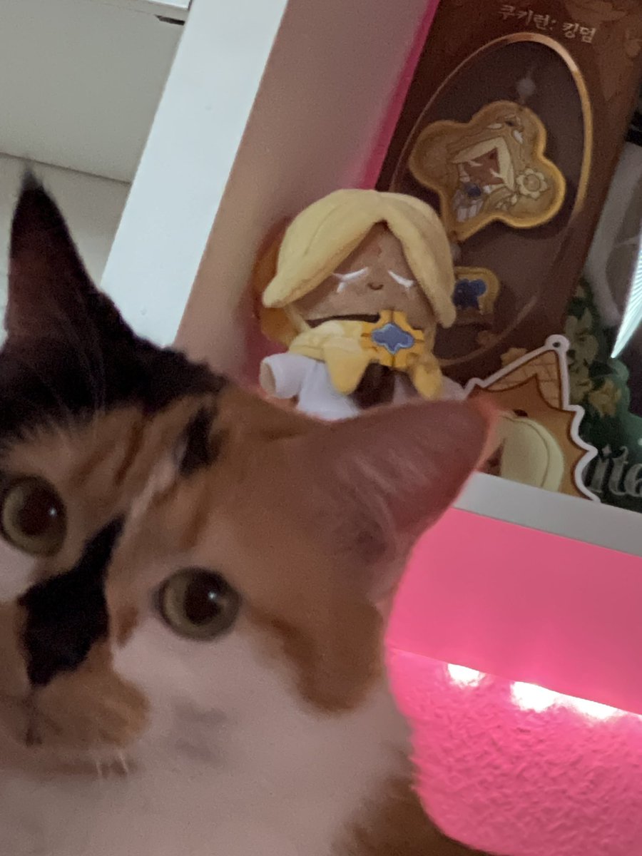 hes right behind me, isnt he