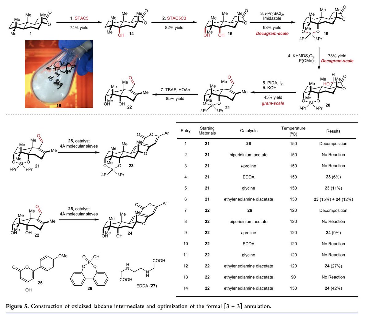Total Synthesis tweet media