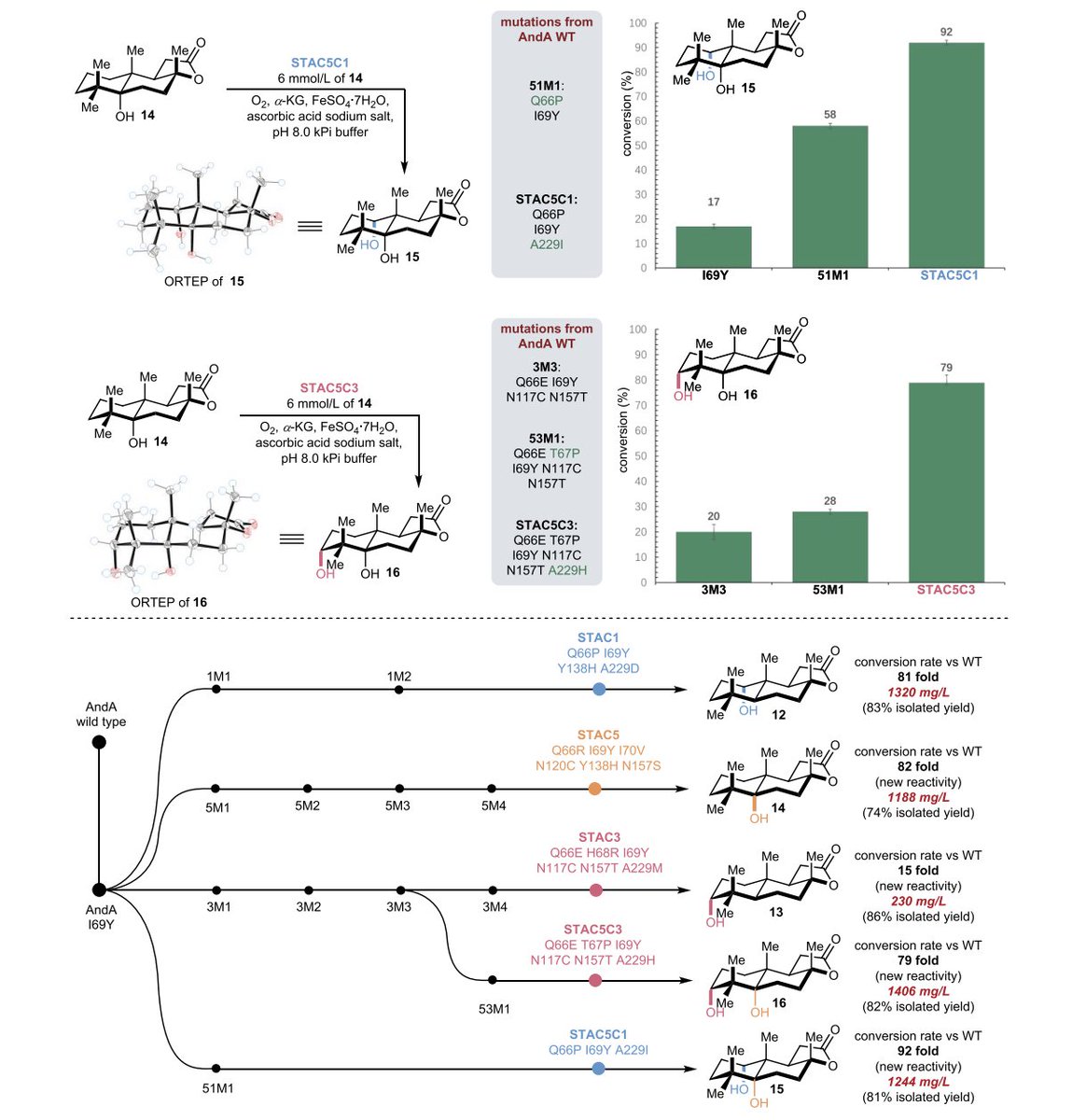 Total Synthesis tweet media
