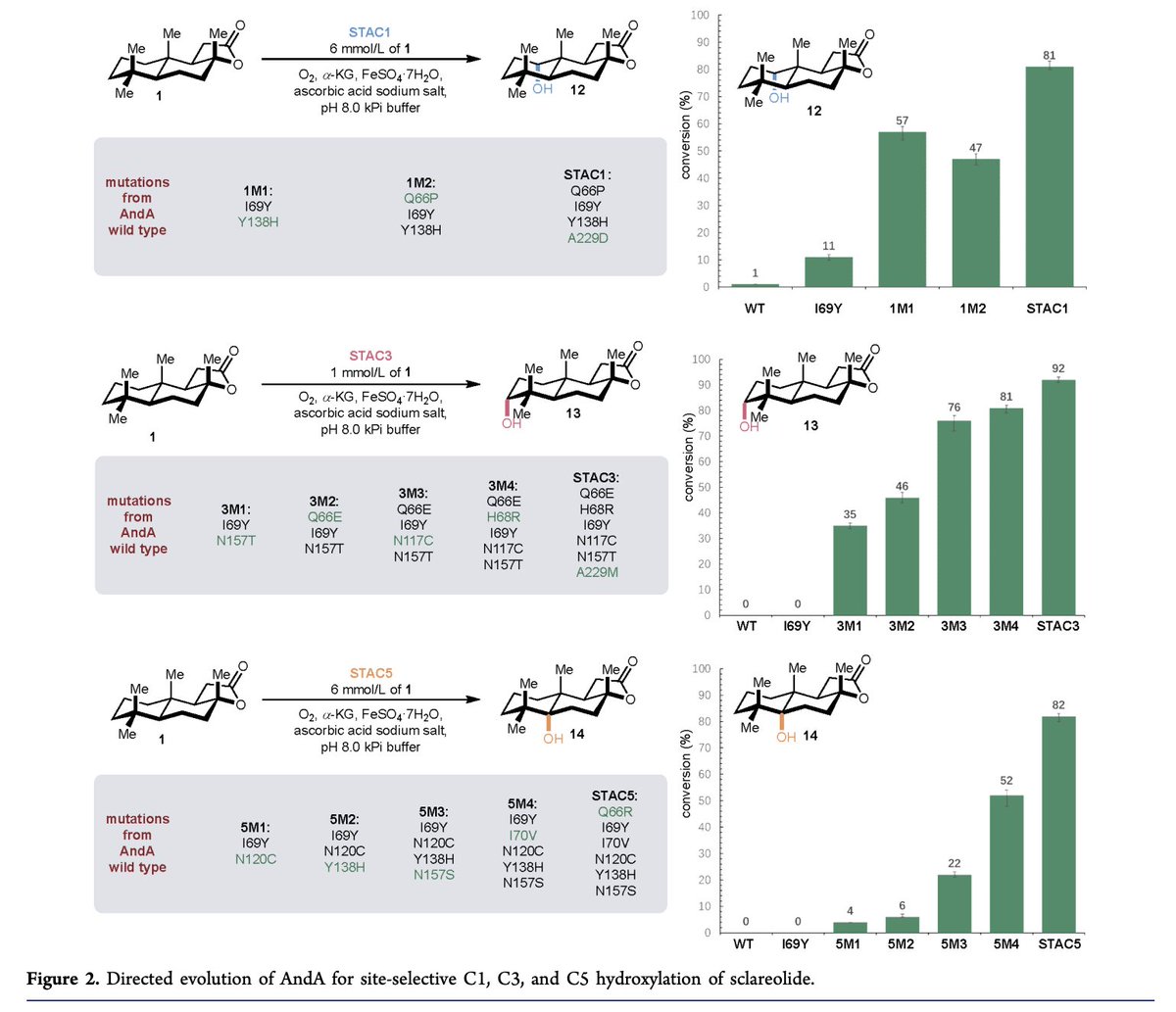 Total Synthesis tweet media