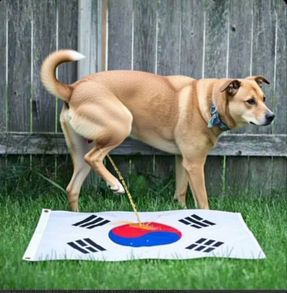 Suki Bbbb tweet media
