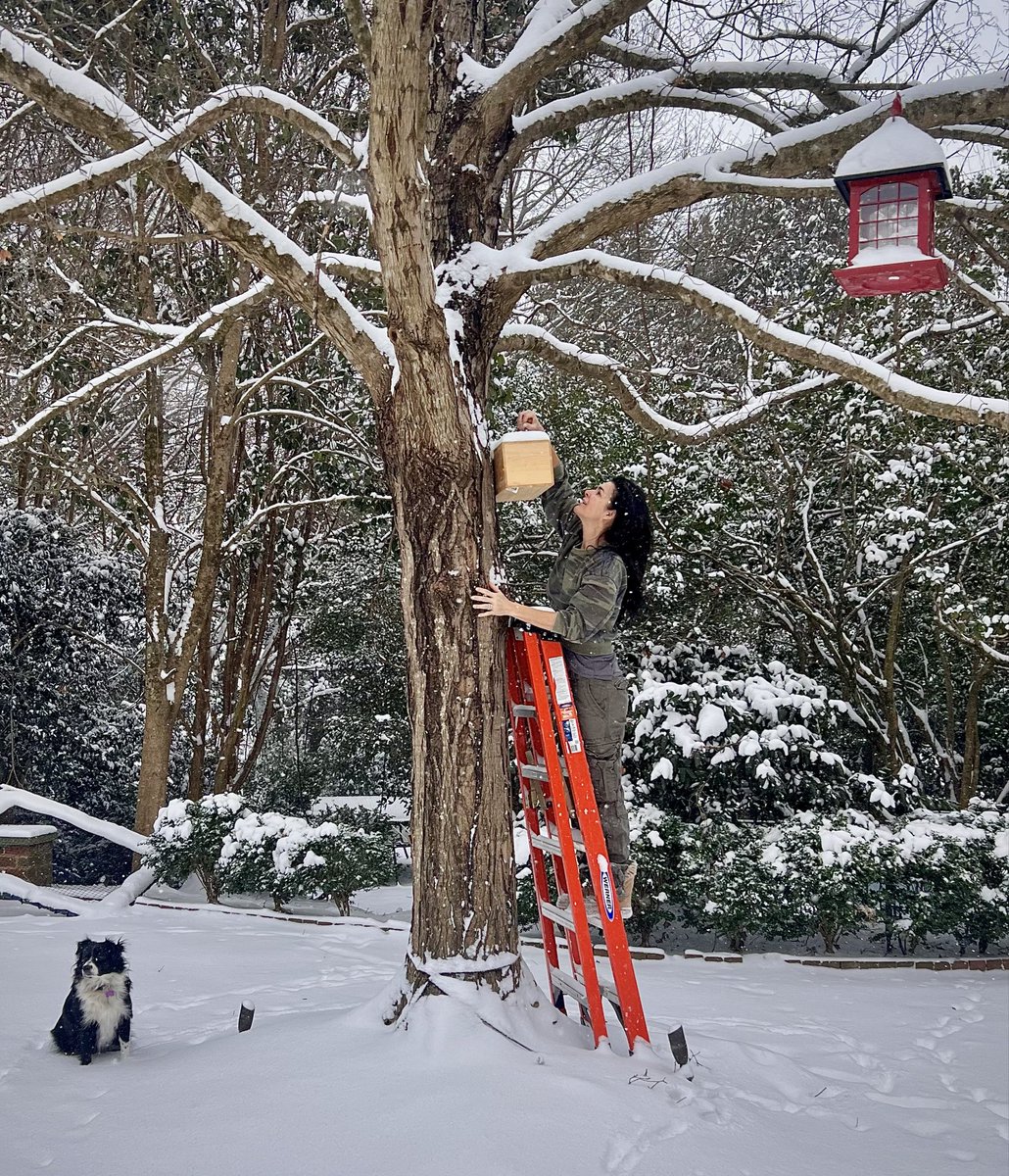 Angie Harmon tweet media