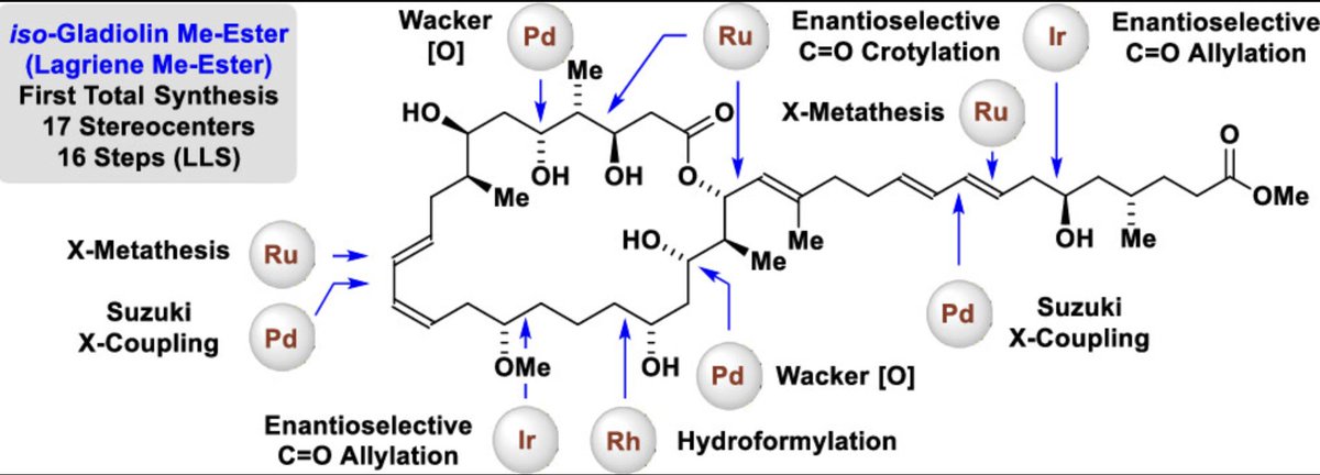 Total Synthesis tweet media
