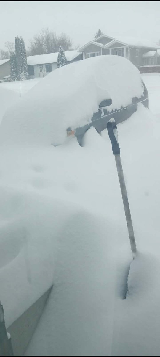 Micheal Lam tweet media