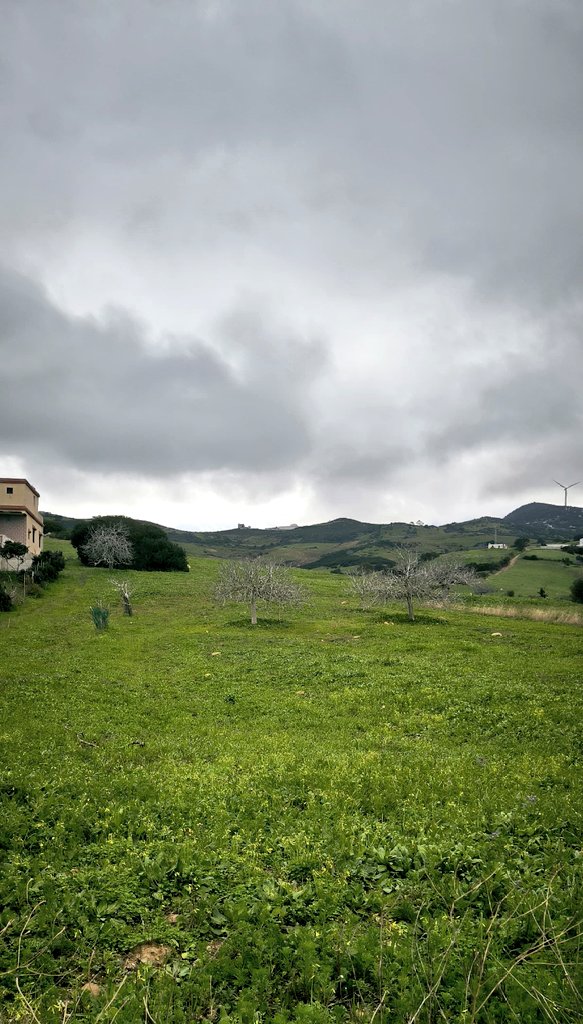 donz.exe 🇲🇦 tweet media