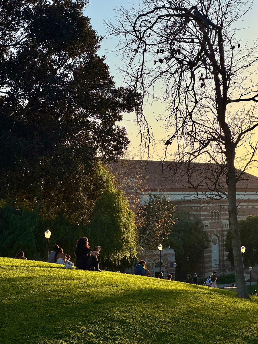 UCLA Alumni tweet media