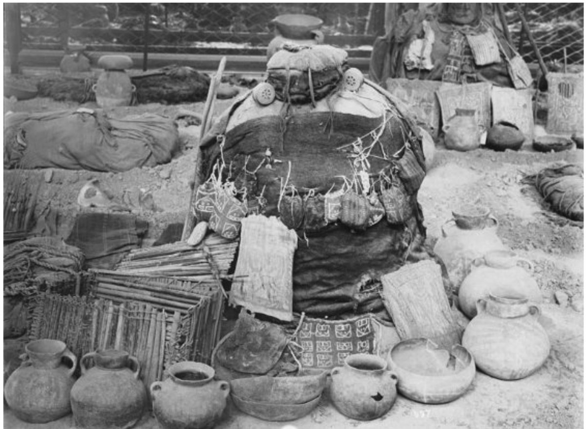 Perú: Ciencia, Tecnologia y Salud tweet media