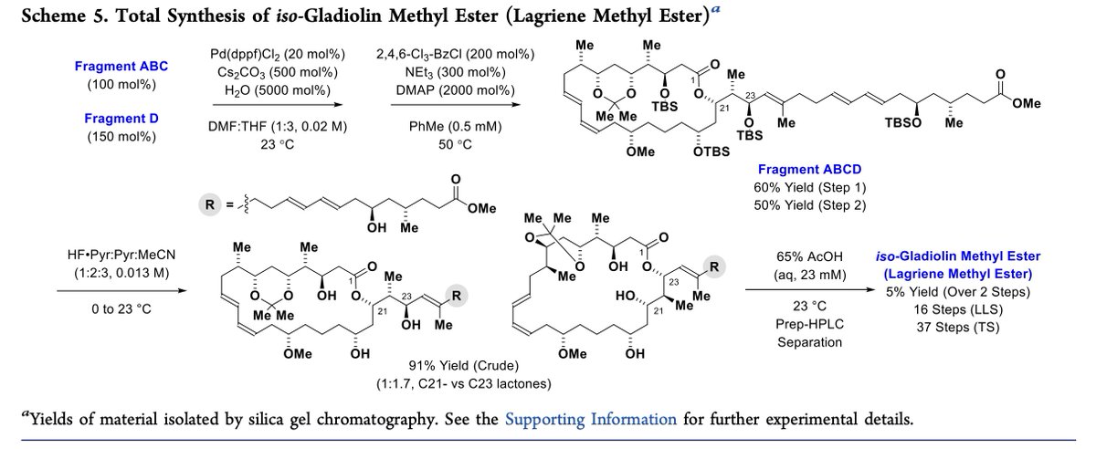 Total Synthesis tweet media