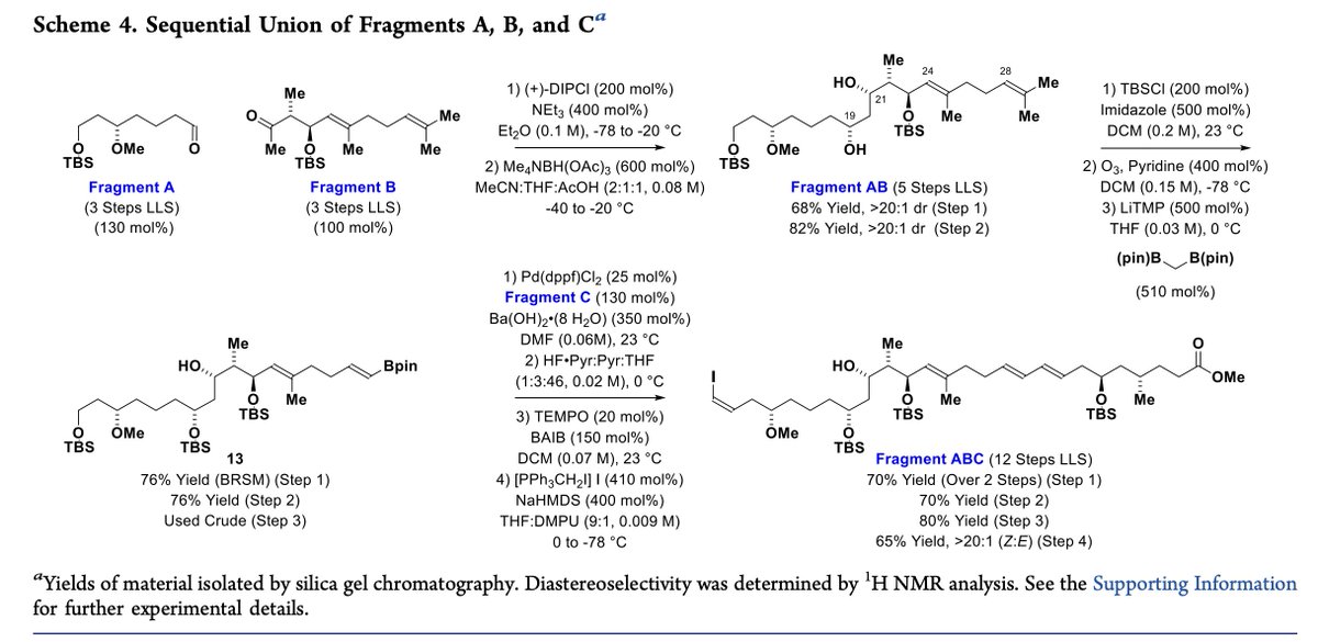 Total Synthesis tweet media