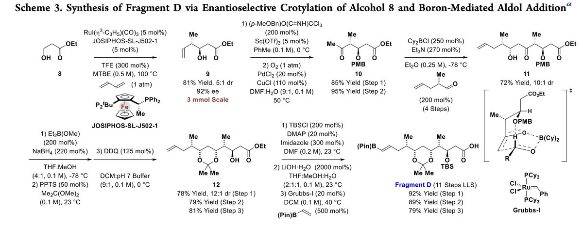Total Synthesis tweet media
